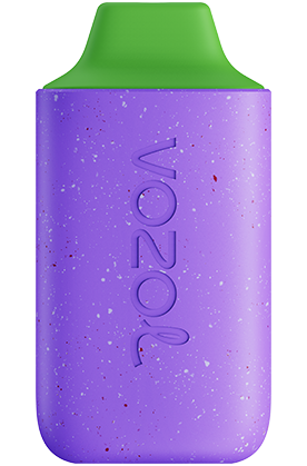 VOZOL STAR 6000 Disposable Vape